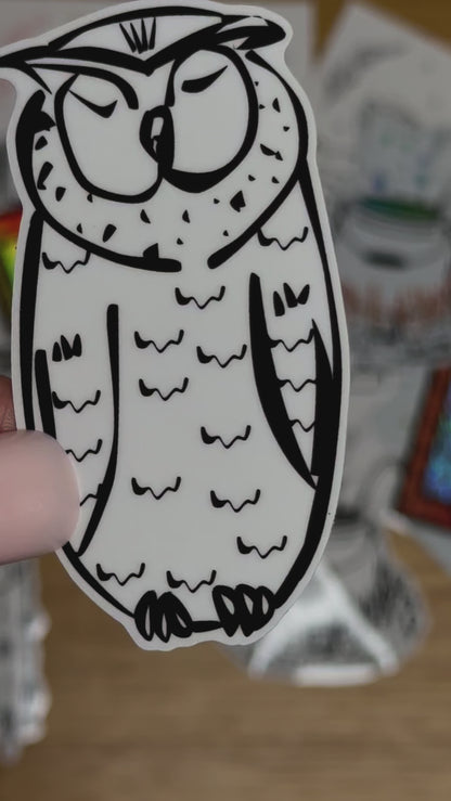 Fluffy Sensei - Owl Sticker | Clear, Waterproof Vinyl | 4x7.5cm (1.6x3")